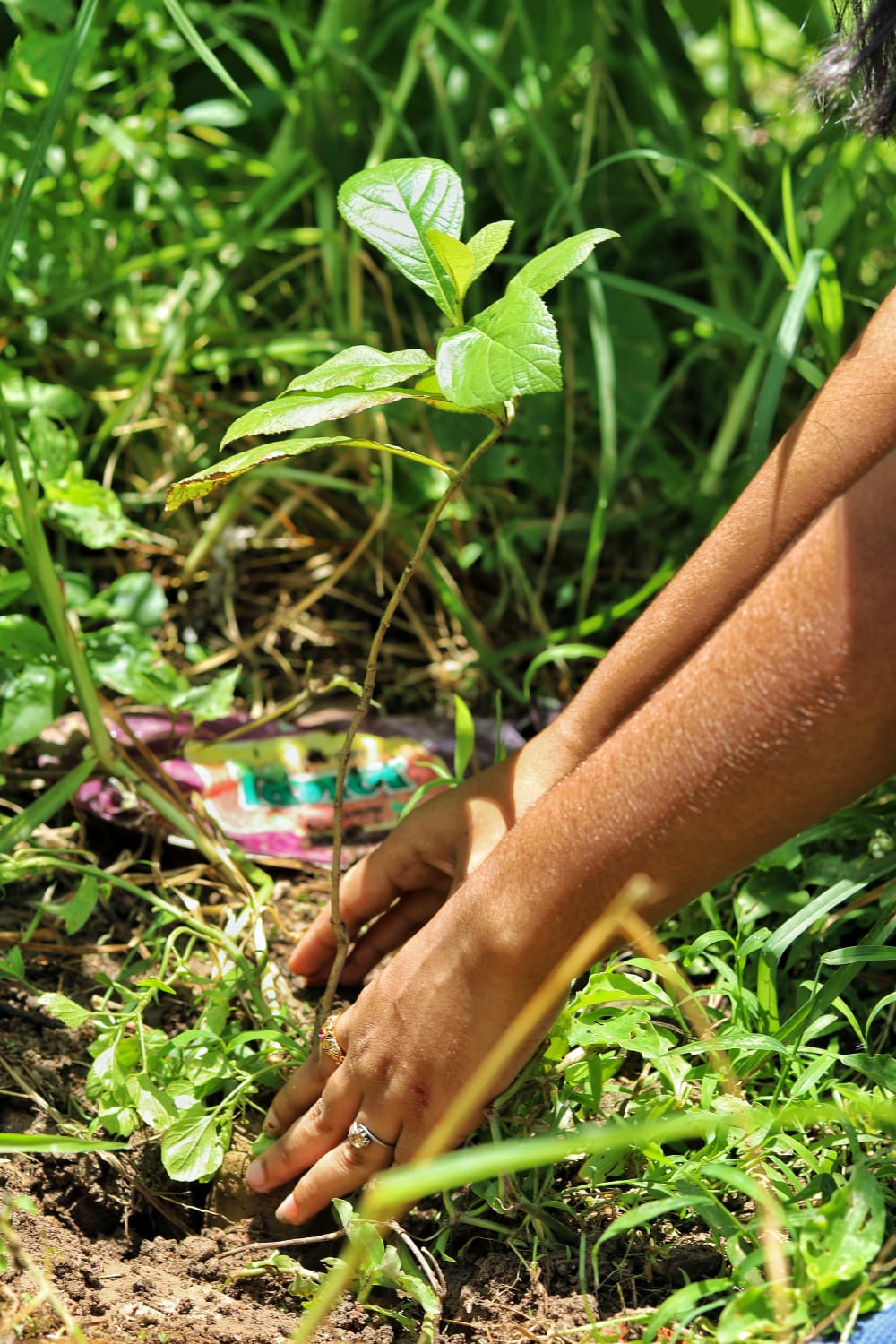 Children education 26